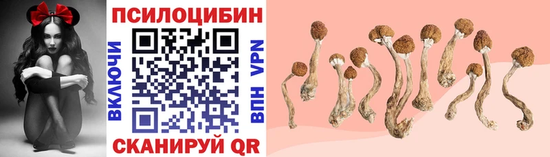 Купить  Белёв  Галлюциногенные грибы GOLDEN TEACHER 