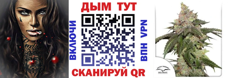 Купить где  Белёв  Канабис индика 
